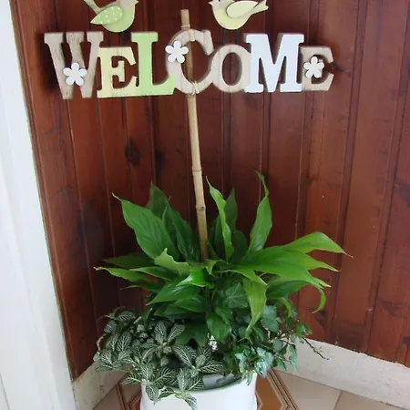 Guest house Finest
